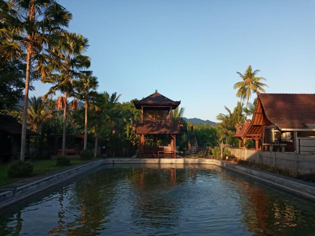 Buana Ecofarm Ecolodge Grokgak Екстер'єр фото